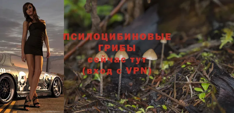 Галлюциногенные грибы MAGIC MUSHROOMS  Пермь 